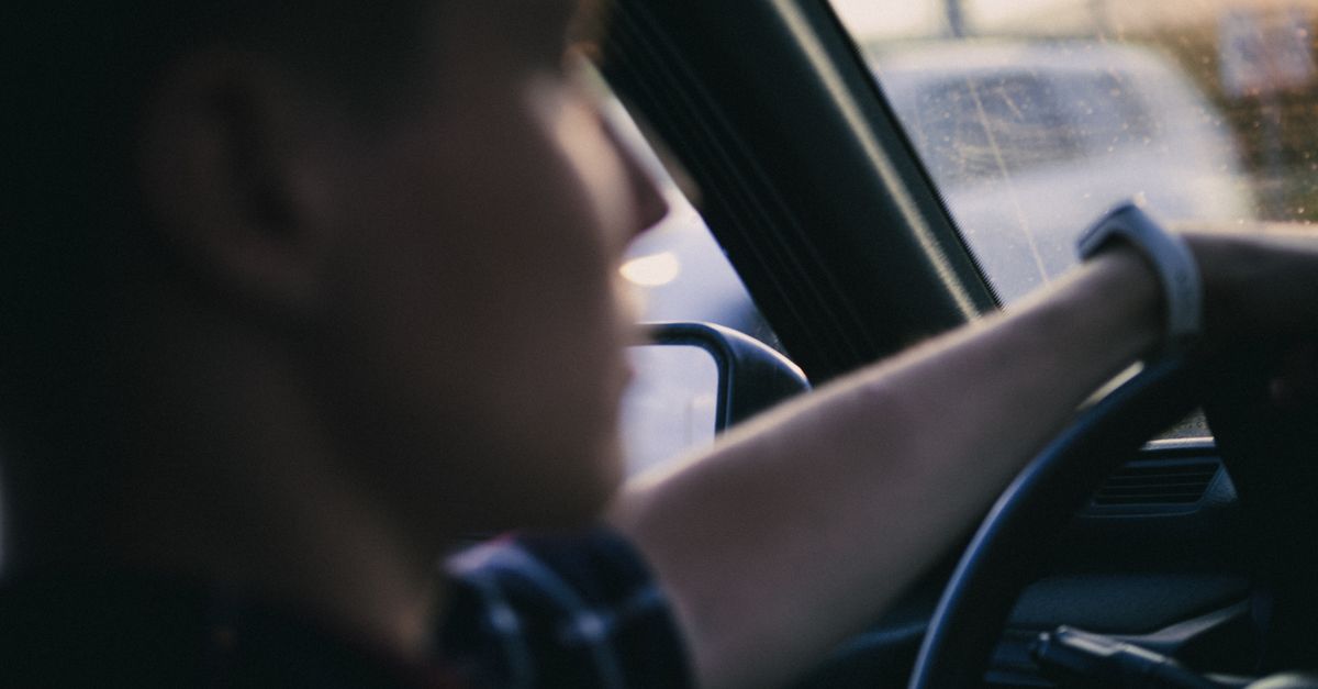 Impact of Training on Driving Instructor Effectiveness